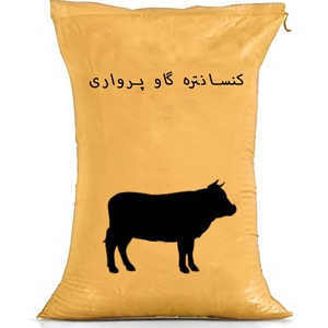 کنسانتره گاو پرواری