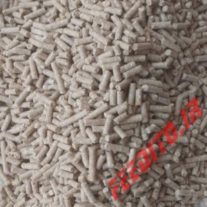 کنسانتره گوسفند داشتی
